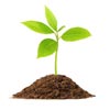 MOR Solutions - Grow your business